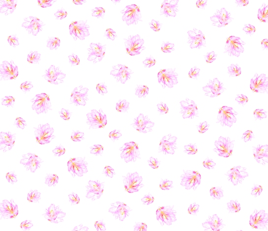 Flower2_Pattern_MadeleineBrady